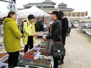 阿拉善展会爆料信息最新,绿色科技盛宴即将启幕  第1张